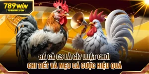 Đá gà C3 là gì