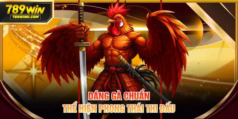 Dáng gà chuẩn thể hiện phong thái thi đấu