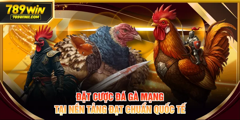 Đặt cược đá gà mạng tại nền tảng đạt chuẩn quốc tế