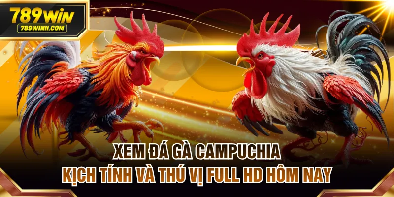 Đá gà Campuchia